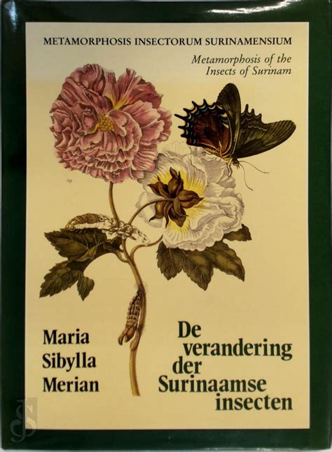 Metamorphosis Insectorum Surinamensium Maria Sibylla Merian Isbn