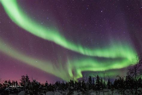 The Night Sky Above Kaaresuvanto Finnish Lapland Keighley