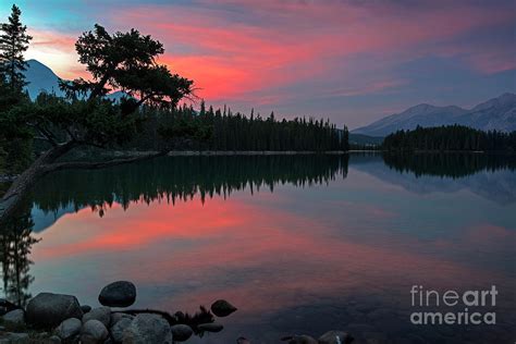 Sunset At Lac Beauvert Jasper National Park Photograph By Yefim Bam