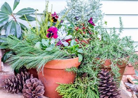 The Experts At Hgtv Gardens Show You How To Gather Greenery From Your