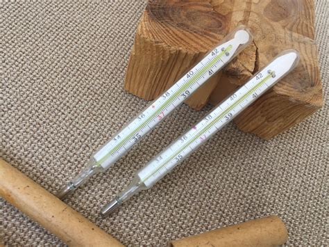 Two Medical Thermometers In Original Case Vintage Mercury Etsy