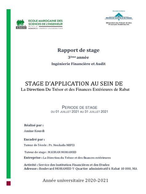 Rapport De Stage Amine Pdf Dettes Argent