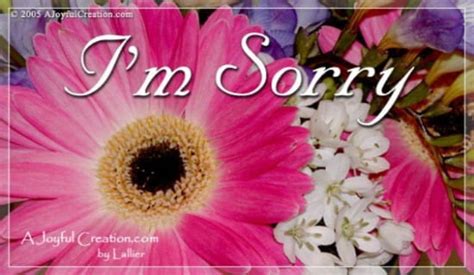 Im Sorry Ecard Free A Joyful Creation Greeting Cards Online