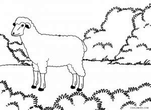 Sheep coloring pages free printable. Free Printable Sheep Face Coloring Pages For Kids