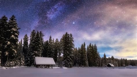 Słowenia Równina Pokljuka Zima Las Wieczór Niebo Gwiazdy Drzewa