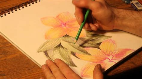 How To Draw Realistic Flowers With Colored Pencils Step By Home Alqu