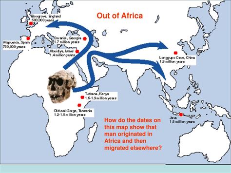 Ppt Human Origins In Africa Powerpoint Presentation Free Download