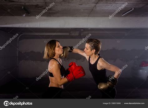 Are Female Boxers Aggressive