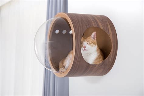 They want a cat bed where they can feel safe, warm, get a good night's rest, and be alone when finding the bed of your cat's dreams, though, can be challenging. MYZOO-Spaceship Gamma (Walnut): Wall Mounted Cat Bed in ...