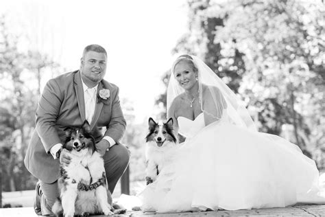 Cant Forget Portraits With The Pups Concordvilleweddings