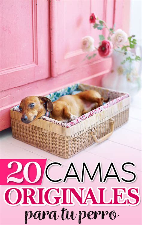 20 Originales Diseños De Camas Para Perros Que Te Encantarán Camas