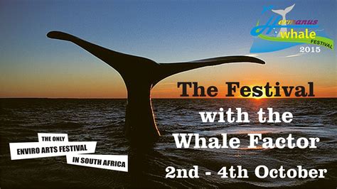 Whale Festival And 3 Music Stages Festival Music Youtube