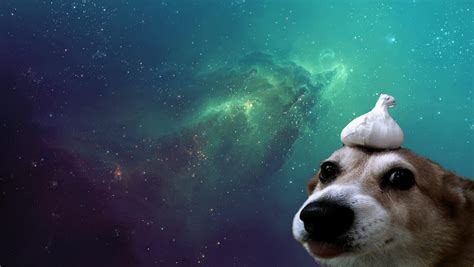Looking For A 3840x1080 Version Of This Space Doggo Rwallpaperrequests