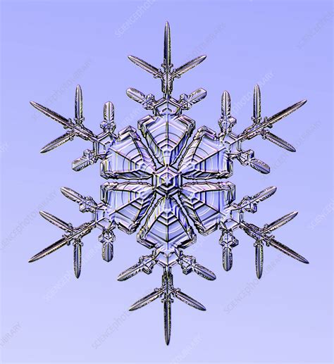 Snowflake Light Micrograph Stock Image C0255947 Science Photo
