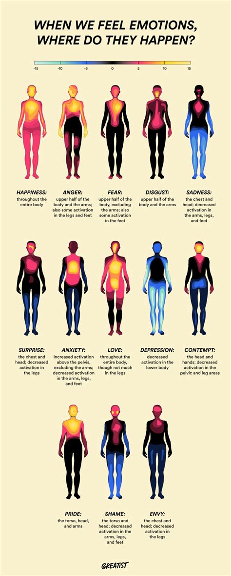 where emotions are felt in the body according to research