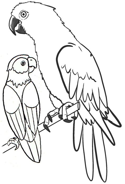 9 Beautiful And Wonderful Macaw Bird Coloring Pages Coloring Pages