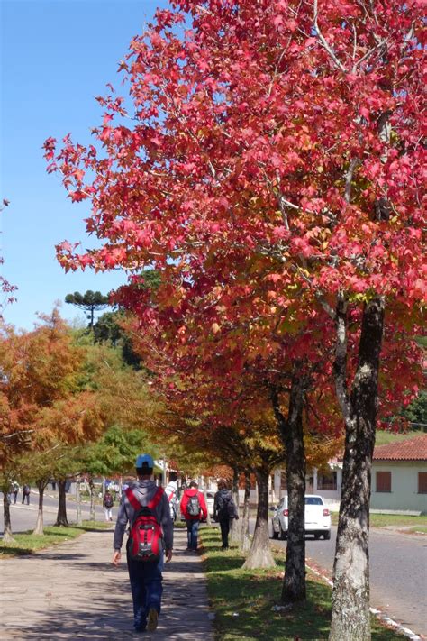 Gramado is a small tourist city, southeast of caxias do sul and east of nova petrópolis in the southern brazilian state of rio grande do sul, in the serra gaúcha region. o outono chegou! - são francisco de paula - rs