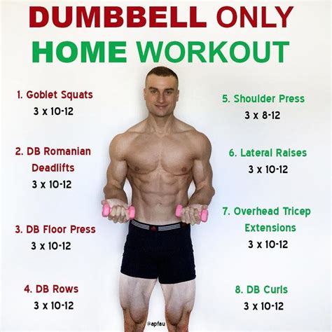 Home Workout Routine Muscle Building Exercises