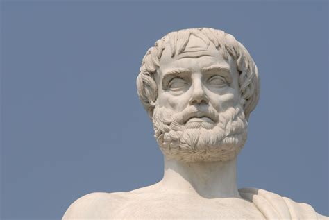 Aristotle On The Mixed Form Of Government In Sparta
