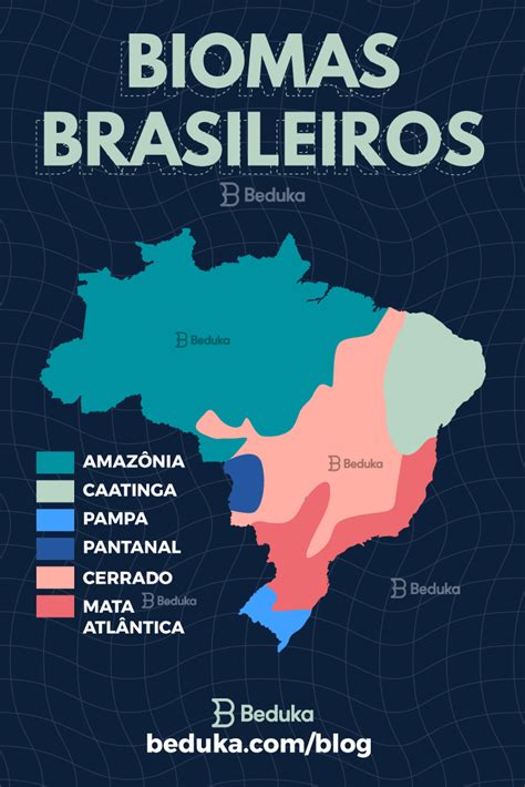 QUAL A IMPORTÂNCIA DOS BIOMAS BRASILEIROS ONDE ELES ESTÃO COMO