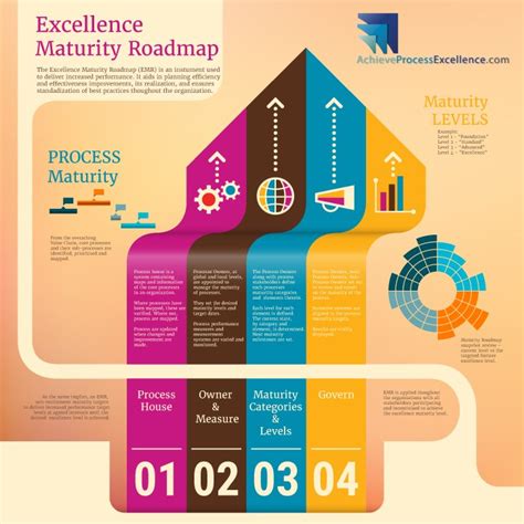 Process Excellence Roadmap Profitable Processes