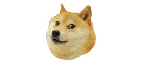 Doge Meme Png Image Transparent Image Download Size 500x268px