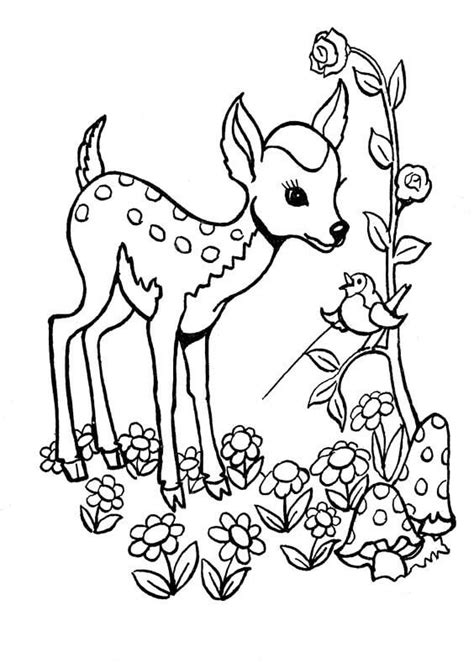 Wild Deer Coloring Page - Free Printable Coloring Pages for Kids