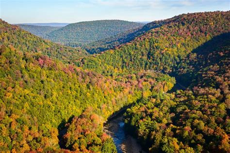 Loyalsock State Forest