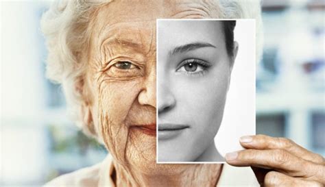 Los Diferentes Tipos De Envejecimiento Que Existen Bienvenido