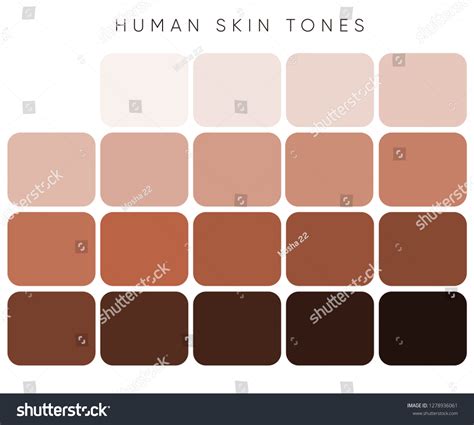 Creative Vector Illustration Human Skin Tone Stock Vector Royalty Free
