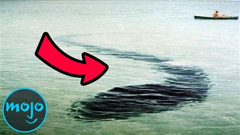 Top 10 Creepiest Sea Monster Sightings Of All Time Sophisticated Bitch