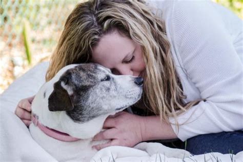 Euthanasia at home on facebook. Preparing for the event | Home Pet Euthanasia of Southern ...