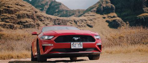 What Is The Difference Between The Mustang And The Mach 1?