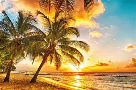 paisagens caribenhas que você precisa conhecer Qual Viagem