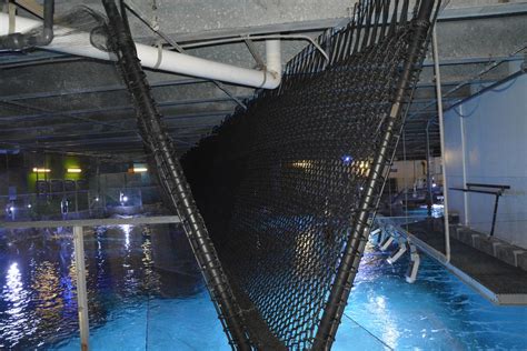 Worlds First And Only Shark Bridge Debuts At Newport Aquarium