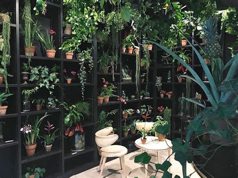 Jardin secret | Chambre insolite à Bruxelles | Hotels-insolites.com