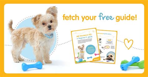 Trupanion pet insurance has one simple plan that covers 90% of veterinary costs with no payout limits. Petplan Releases "Pet Insurance 101" Guide