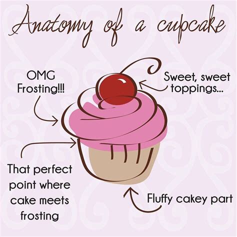 Cupcakeanatomy Cupcake Meme Cupcake Quotes Funny Cupcakes Eat