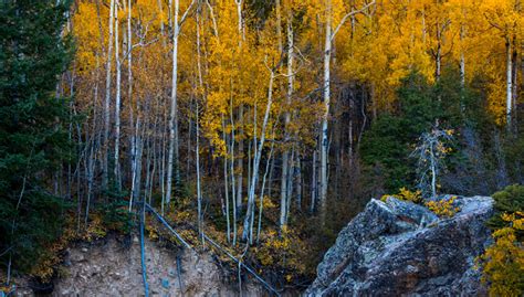 The 9 Best Hikes In Rocky Mountain National Park To See Fall Colors