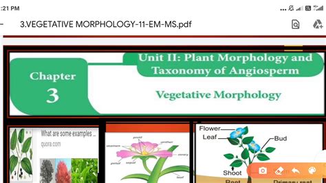 Plant Morphology And Taxonomy Of Angiosperms Youtube