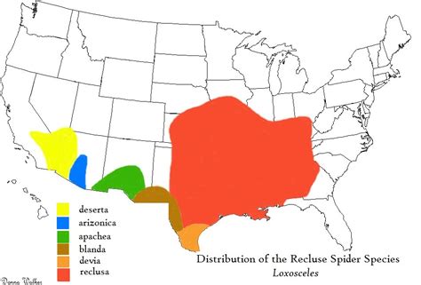 Black Widow Range Map Brown Recluse Spider Facts Variolus