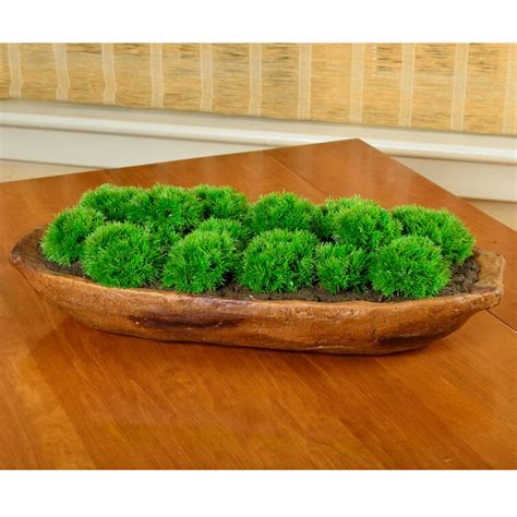 Picnic At Ascot Artificial Moss Plant In Planter And Reviews Wayfair