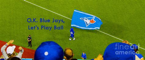 Ok Blue Jays Lets Play Ball Photograph By Nina Silver Fine Art America