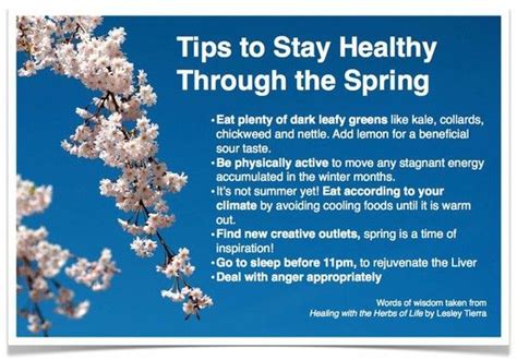 How To Stay Healthy Through The Springtime How To Stay Healthy