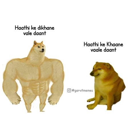 1080 X 1080 Doge Doge Meme By Magamexican Memedroid Animals Dog
