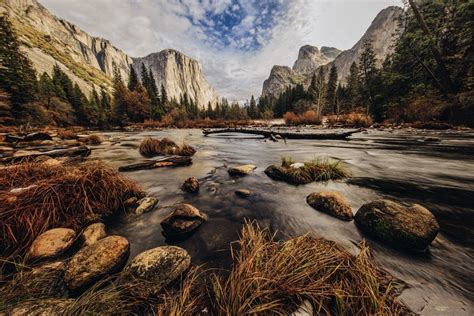 El Capitan meadow in Yosemite national park [OC] [1200x800] : EarthPorn