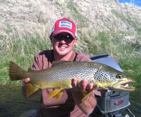 Wind River Fly Fishing Report Dubois Wyoming June 2011