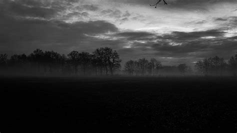 Dark Landscape Scenery Monochrome Fog Trees Landscape Hd