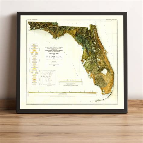 Map Of Florida Relief Map Of Florida Florida Geological Etsy