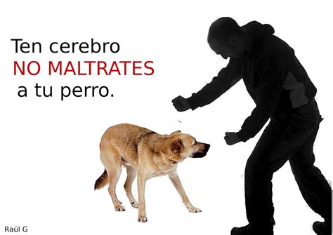 Maltrato Animal